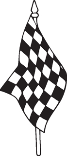 Checkered Flags 21
